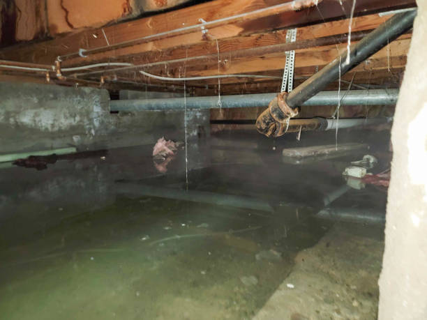 Fire Damage Restoration in MI