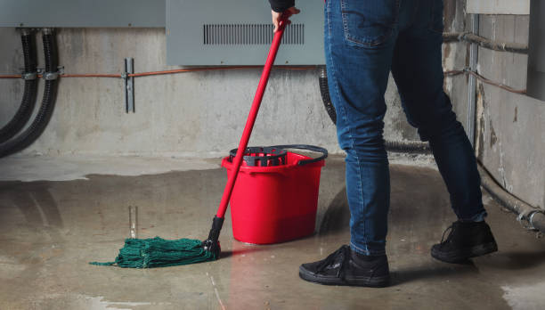  Fennville, MI Water damage restoration Pros