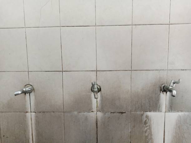 Best Water damage restoration company  in Fennville, MI