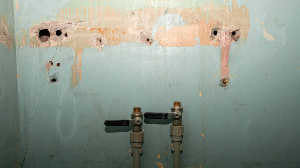 Best Water damage cleanup near me  in Fennville, MI