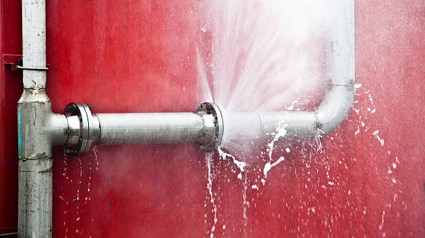 Best Sewage cleanup and water damage restoration  in Fennville, MI